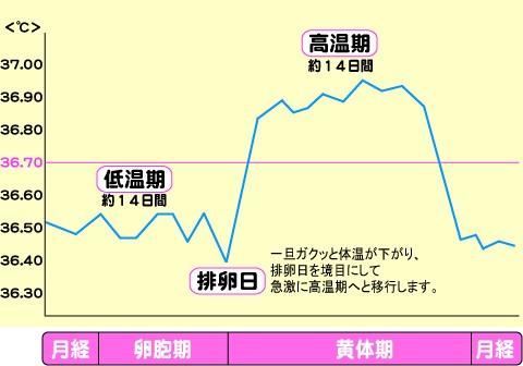 排卵 体温表 .jpg