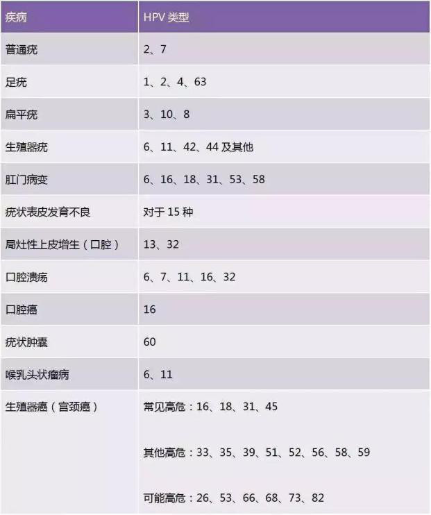 HPV分型报告.jpg