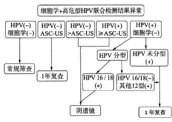 Hpv检测.jpg