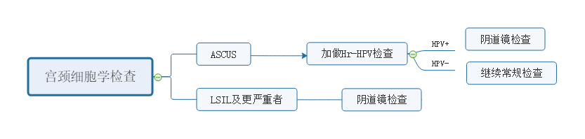 细胞学筛查.png
